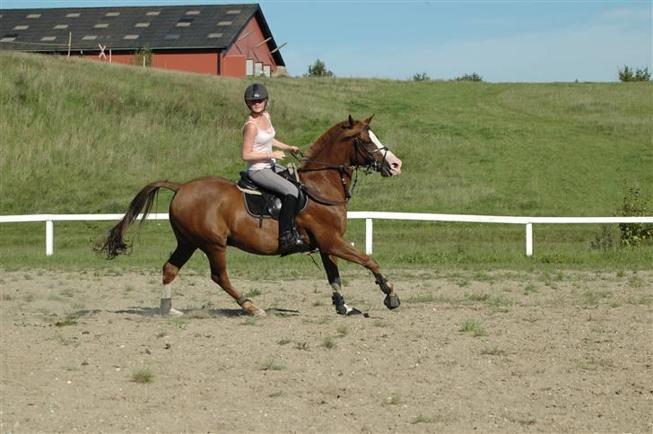 DSP Banzai (Solgt) billede 11