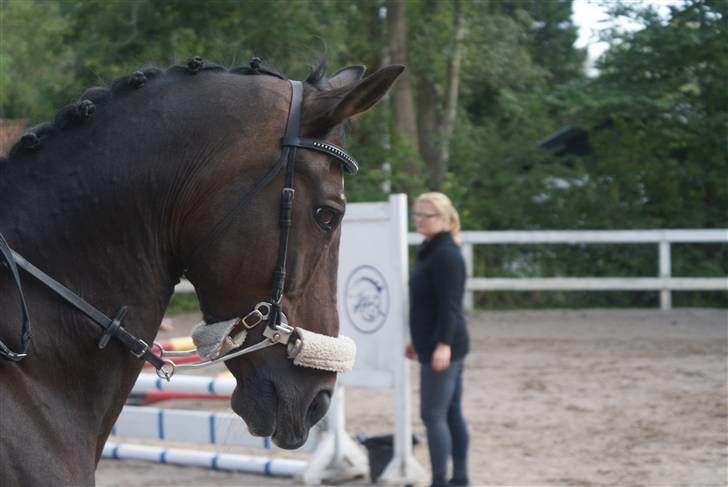 Anden særlig race Ferrari billede 5