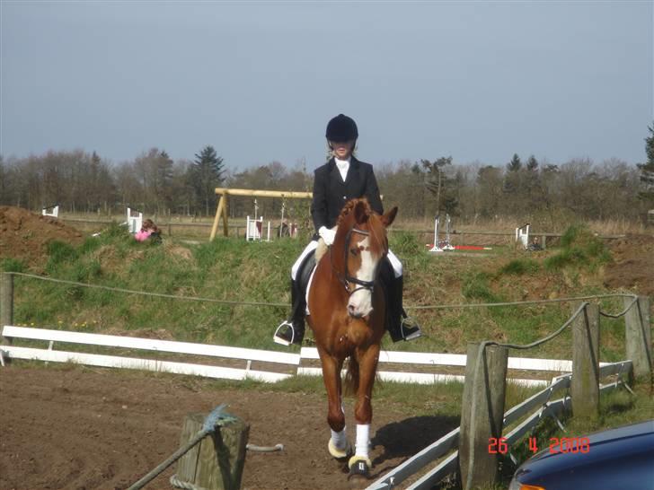 Frederiksborg Chaca Kronborg SOLGT :( billede 10