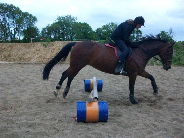 Anden særlig race quinta Soglt - velkommen til quinta´s profil:) billede 1