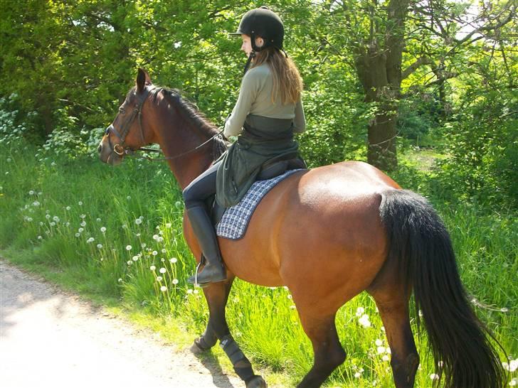 Anden særlig race quinta Soglt - quinta og mig på tur (fotograf min søster) billede 4