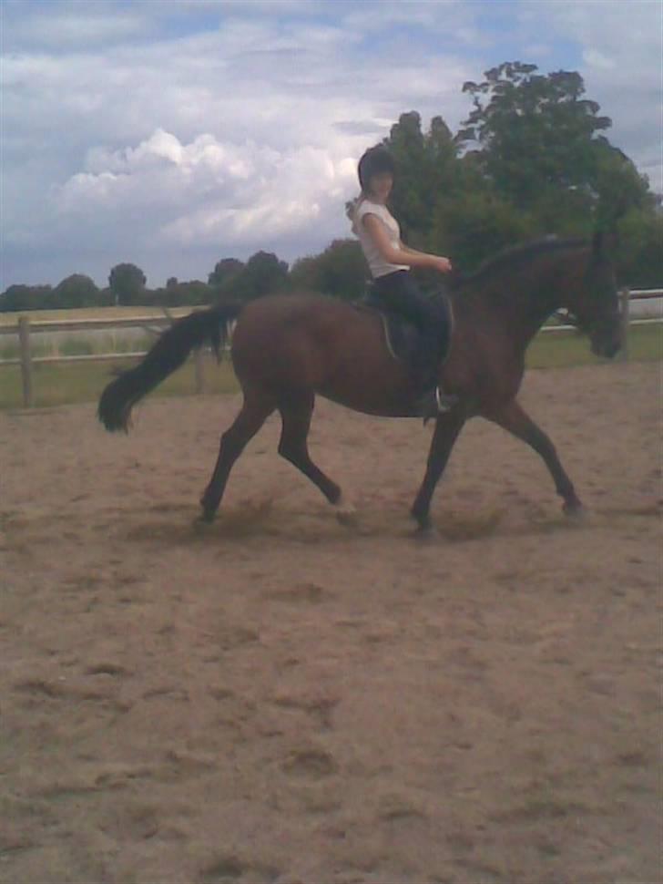 Anden særlig race quinta Soglt - mig og quinta øger (fotograf michelle) billede 6