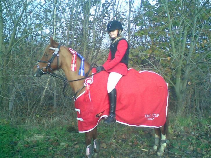 Anden særlig race Daisy<3333 b-pony<3 billede 7