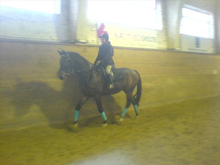 Oldenborg Egelund Milagro - på kasernen! - jeg savner dig .. billede 9