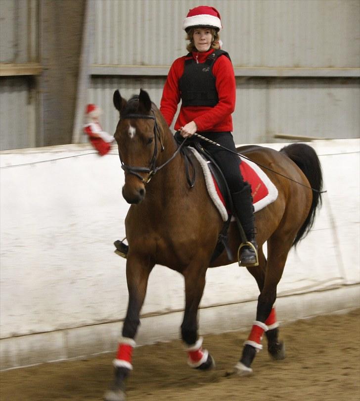 Dansk Varmblod Freilupe Aagreen (Frida) - Juleshow på Bakkegaarden d. 13/12 2008. Mums hvor er hun lækker <3 Foto: Jens Ørgaard Jensen. billede 4