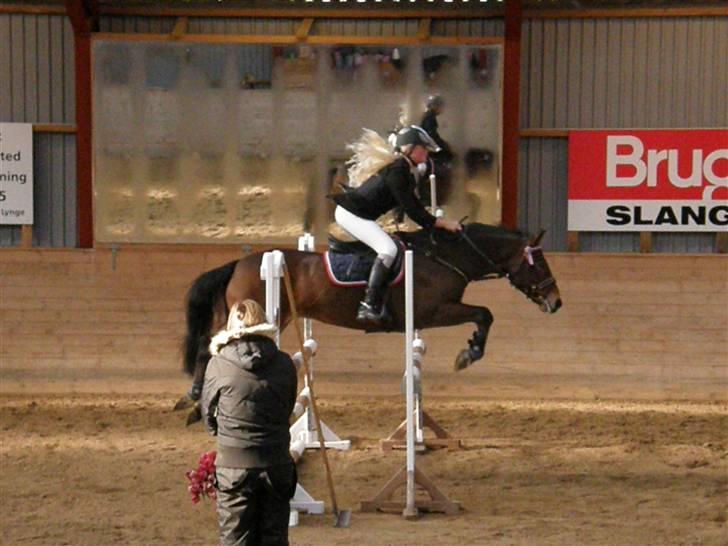 Irsk Sportspony Clover Island - 17) LB på Slangerup-Lynge:)<333 billede 17