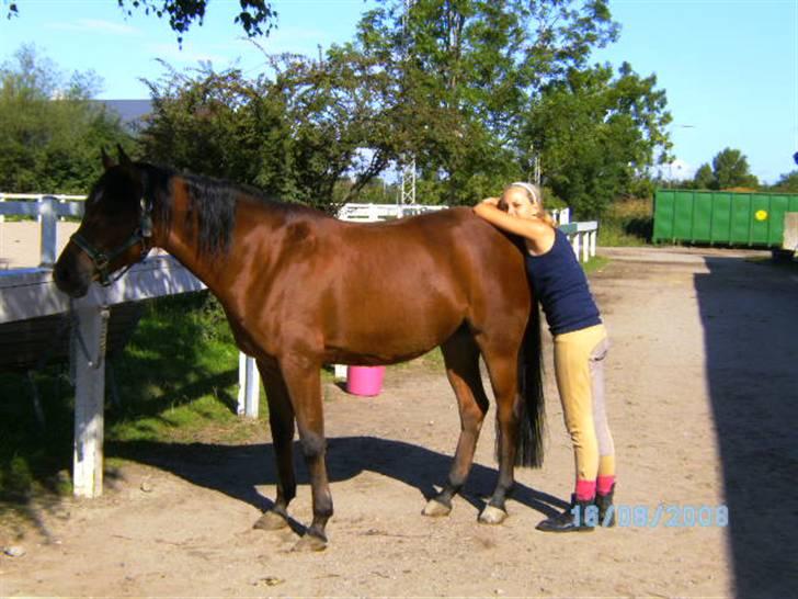 Anden særlig race charmain billede 3