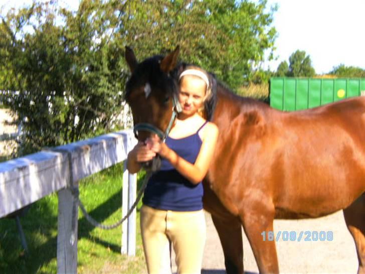 Anden særlig race charmain billede 4