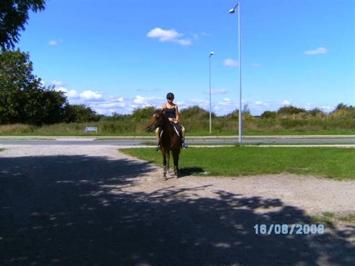 Anden særlig race charmain billede 5