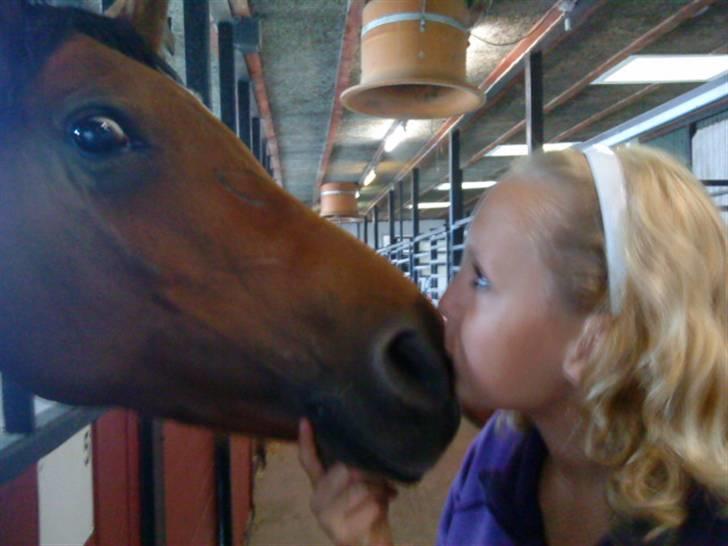 Anden særlig race charmain billede 18