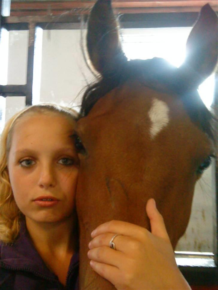 Anden særlig race charmain billede 19