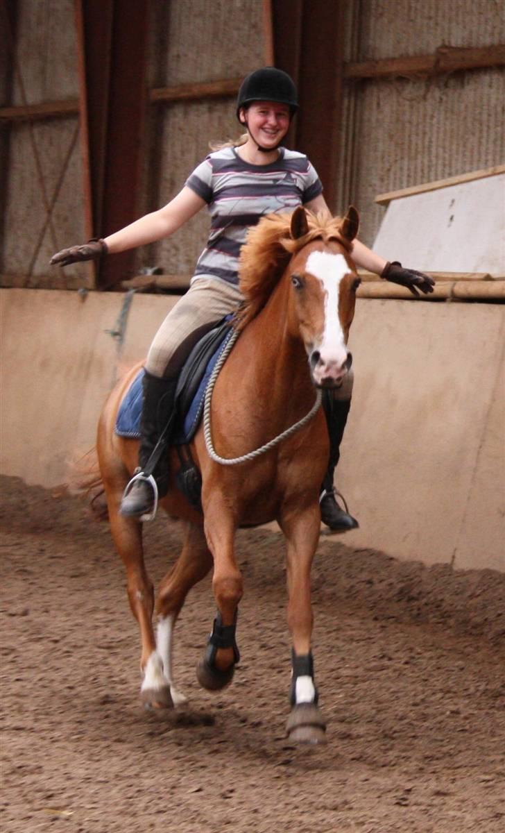 Anden særlig race Armarni - Træning.. 2 gang uden hovedtøj.. så stolt over min lille dreng<33 billede 5