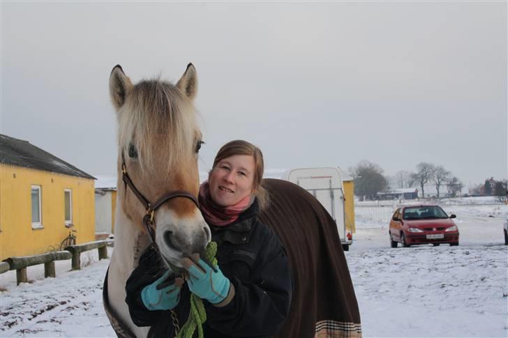 Fjordhest Grønhøjgårdens Malthe - Den. 21/12-2009 Malthe og jeg i en hyggestund i snen:) Foto: Katrine N Wagner billede 6