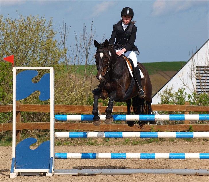 Fuldblod (XX) La Corona - LB* - for satan hun var god den dag :b Maj 2010. billede 1