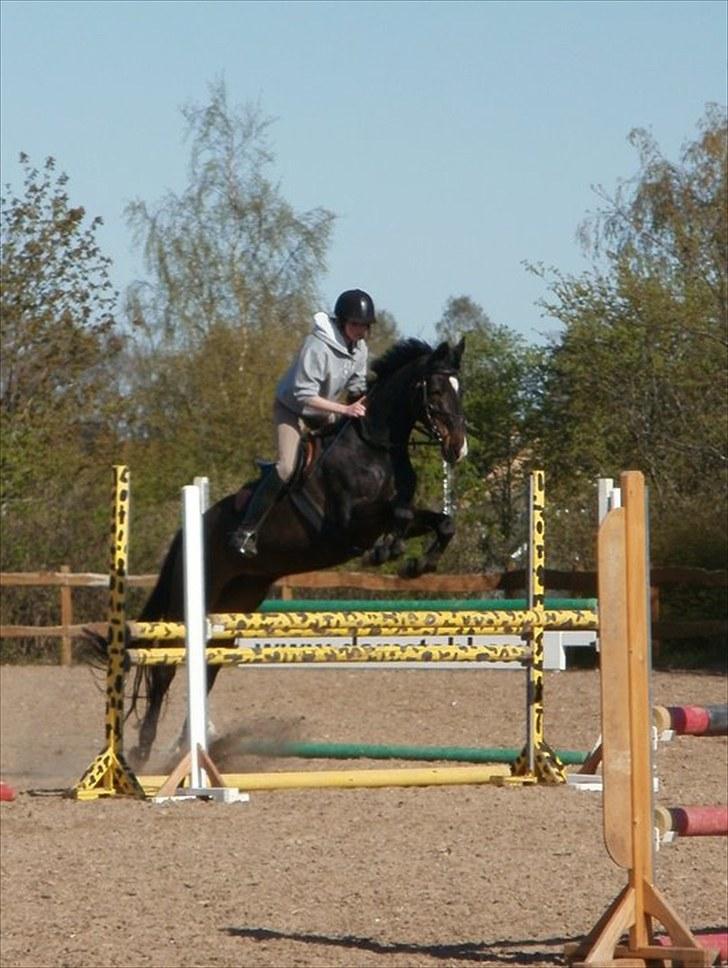 Fuldblod (XX) La Corona - Corona, undervisning maj ´10 :b - Jeg HAR vest på, under trøjen :b billede 13