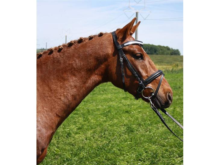 {{currentPhoto.altText}} billede {{currentPhoto.number}}