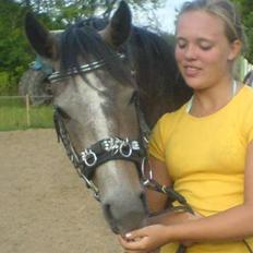 Anden særlig race Chili