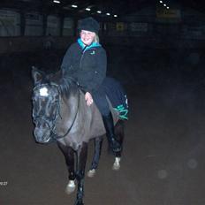 Anden særlig race Meteor <3 SOLGT