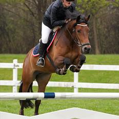 New Forest A Million