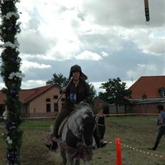 Fuldblod (XX) Marshall #HIMMELHEST#