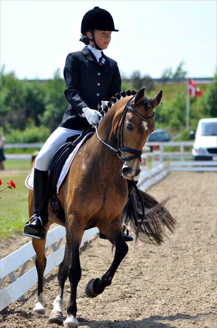 Anden særlig race Mitsy !Solgt! - Mig og Mitsy :) billede 12