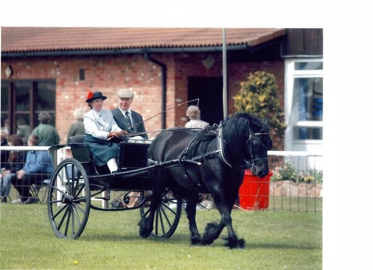 Fell pony Tunstall Jade - Billede fra gammel ejer i England billede 13