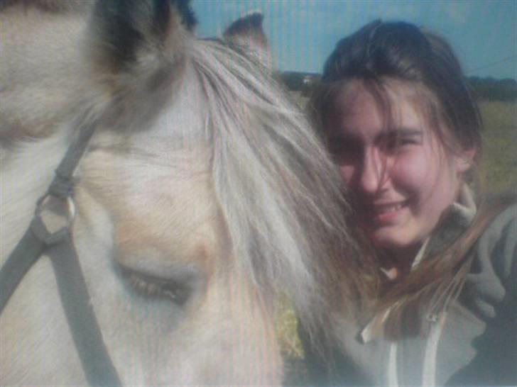 Fjordhest Buller <33 R.I.P. <33  - Min søde Buller <333 billede 19
