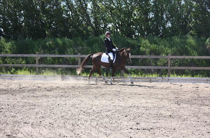 DSP Pajens Olivar - 05.06.10 - Bindslev/Tversted stævne, LC1, 1. plads billede 5