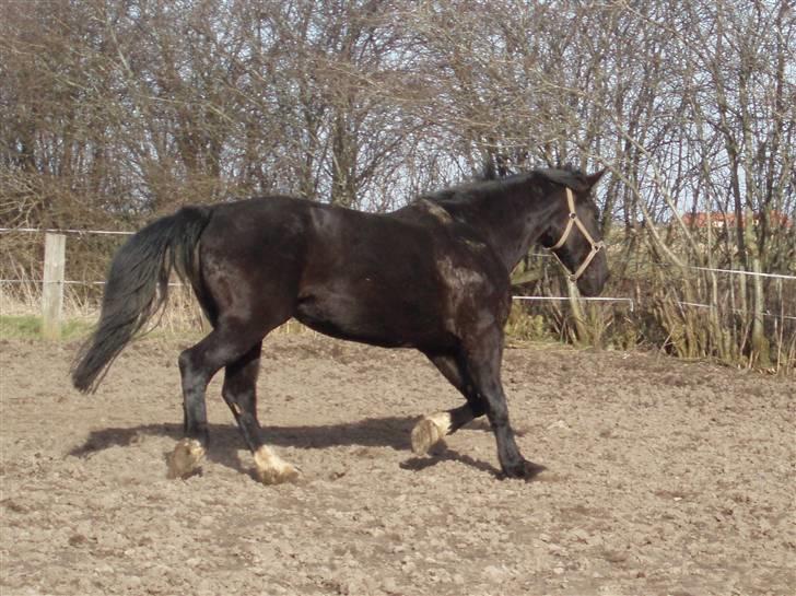 Oldenborg ¤  Madchen ¤   - 20 - 03 - 2009 billede 12