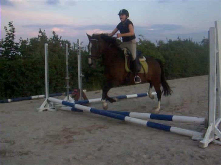 DSP Ringo - Ringo springer, 7 Juli 2009 billede 8