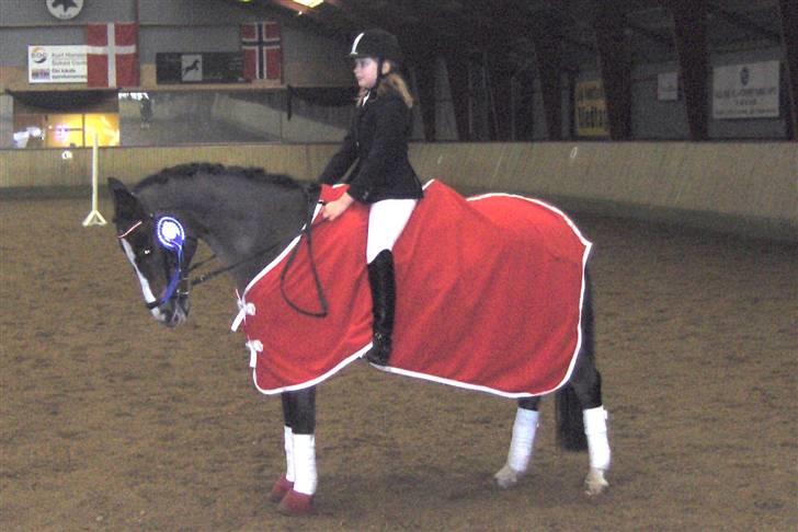 DSP Ringo - Samlet Klubmesterskab for pony dressur 2.p, 6 Dec 2008 billede 9