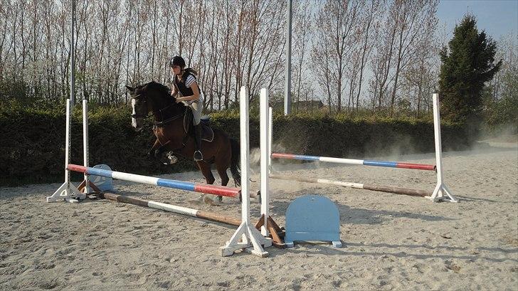 DSP Ringo - Ringo springer, 26 Apr 2011 billede 12