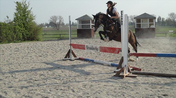 DSP Ringo - Ringo springer, 26 Apr 2011 billede 13