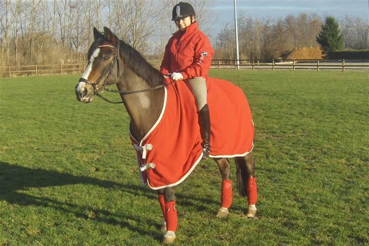 DSP Ringo - Efter træning, 1 Jan 2009 billede 15