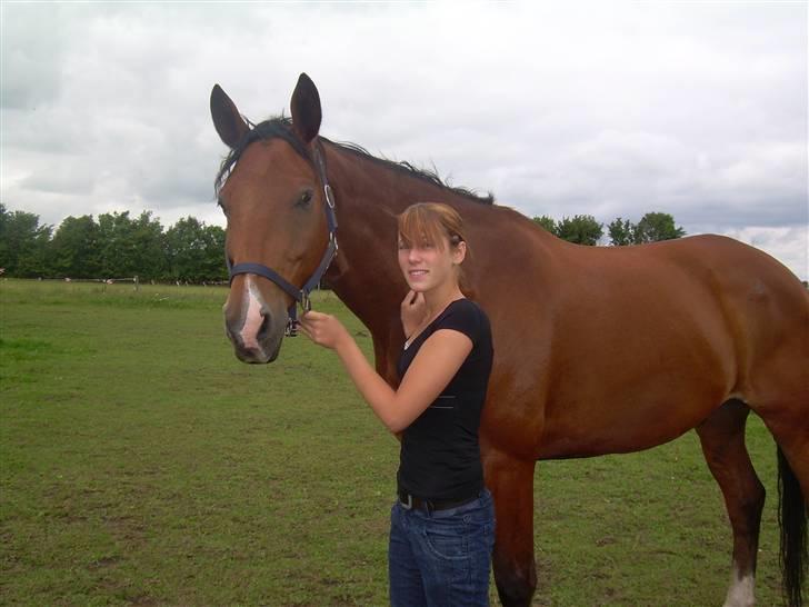 Dansk Varmblod Saxo Søndergård(R.I.P!) - Mig og min ejerq: Saxo min dreng, jeg elsker dig!<´3 billede 18