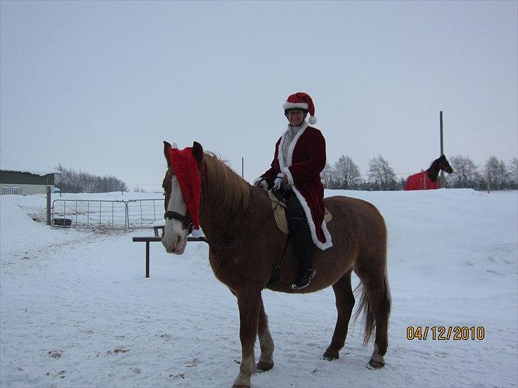 Frederiksborg Mads (rip) - uha det varmt at stresse rundt billede 5