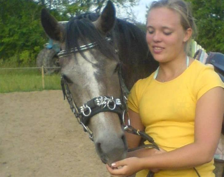 Anden særlig race Chili billede 2