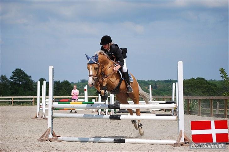 Palomino Golden Casanova (Himmelhest) - .klubmesterskab 2010 ;D billede 14