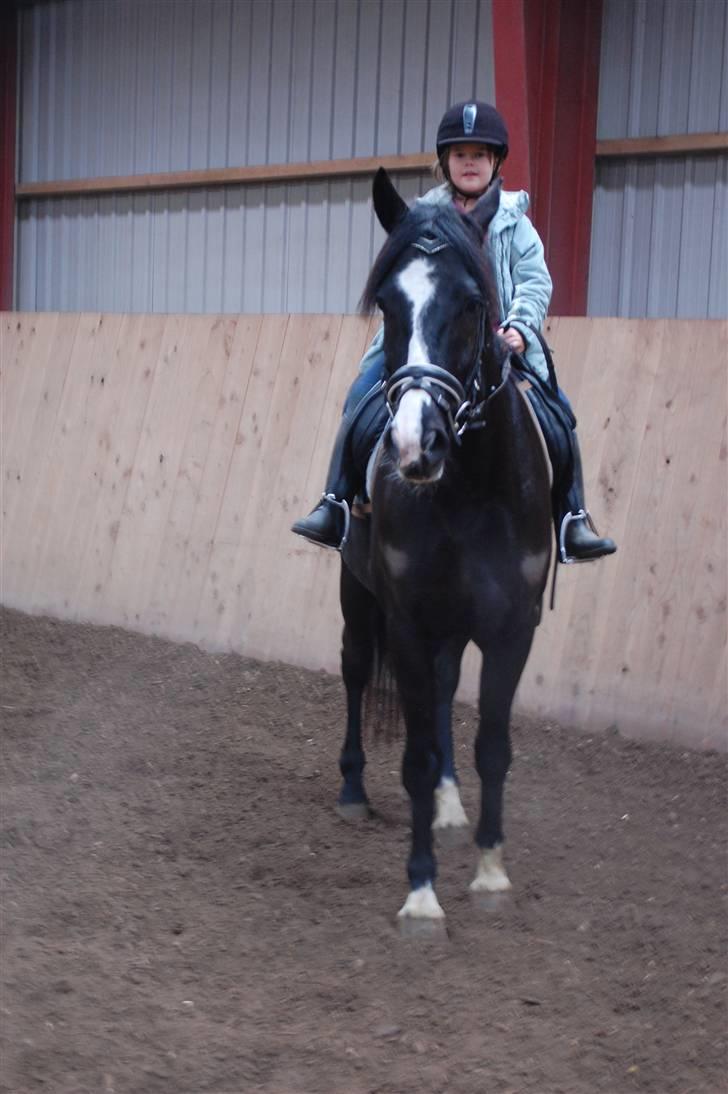 Anden særlig race Lykkes Sir Lancelot - ejers yngste datter Cecilie fik lige en tur på ham. billede 9