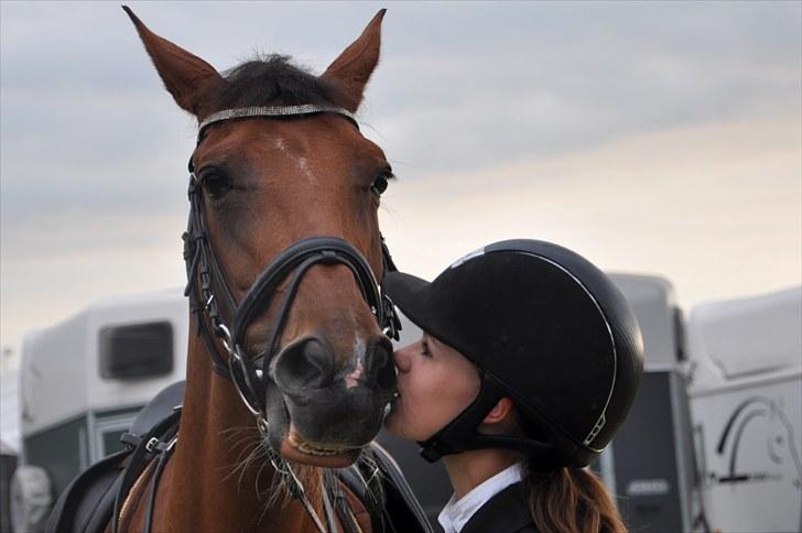 Hollandsk Sportspony Magic Avion R.I.P 16/5/11 - Avi får lige et kys til Copenhagen Horse Show 2010 :D Foto: Emma (søster) billede 20