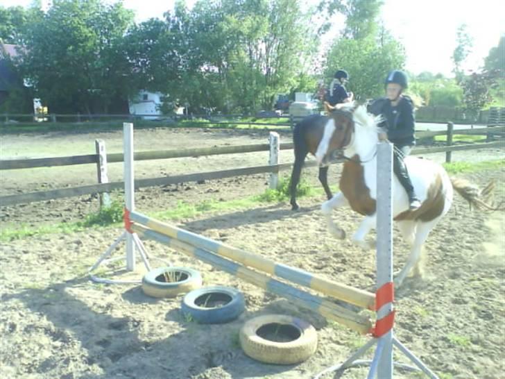 Pinto Kilmay Pretty Palett billede 7