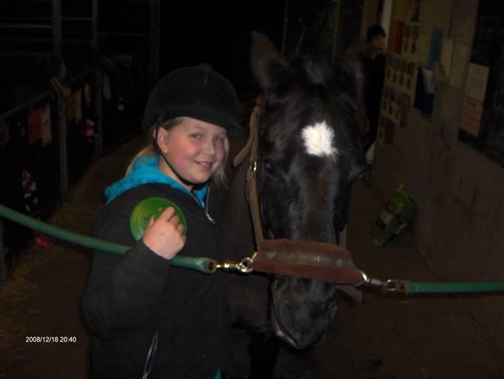 Anden særlig race Meteor <3 SOLGT - 6*Så er jeg færdig med at strigle billede 6