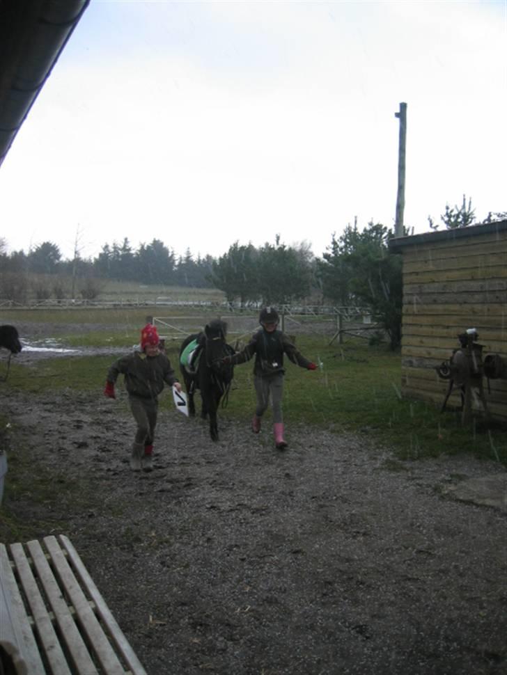 Anden særlig race Buster  - det begyndte at havle så vi gik lige ind til det nogen lunde var over billede 14