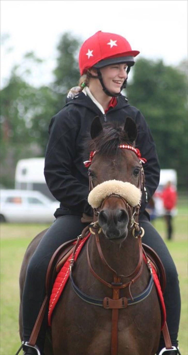 Norsk Sportspony Take A Chance billede 11