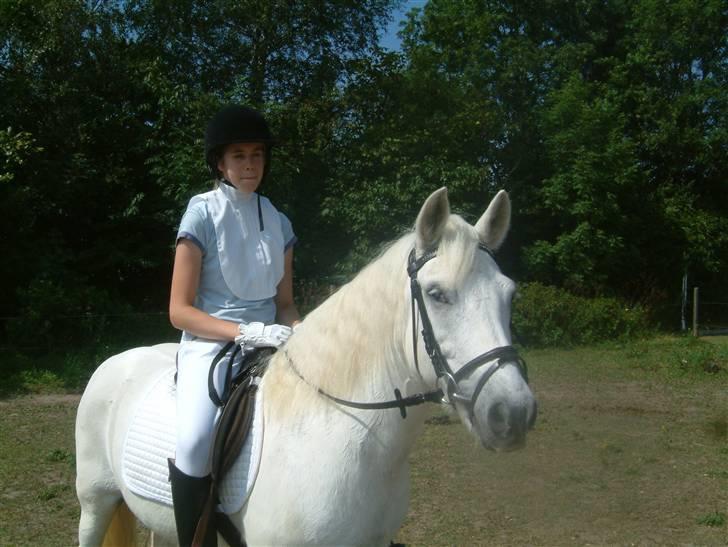 Anden særlig race Coco billede 2