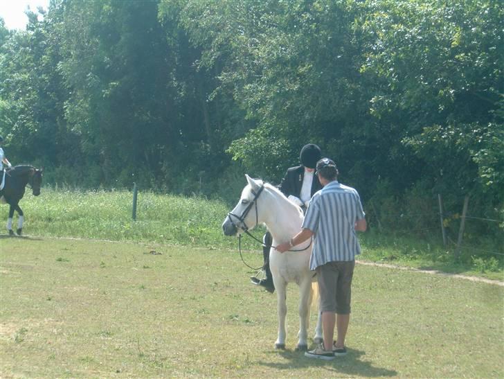 Anden særlig race Coco billede 3