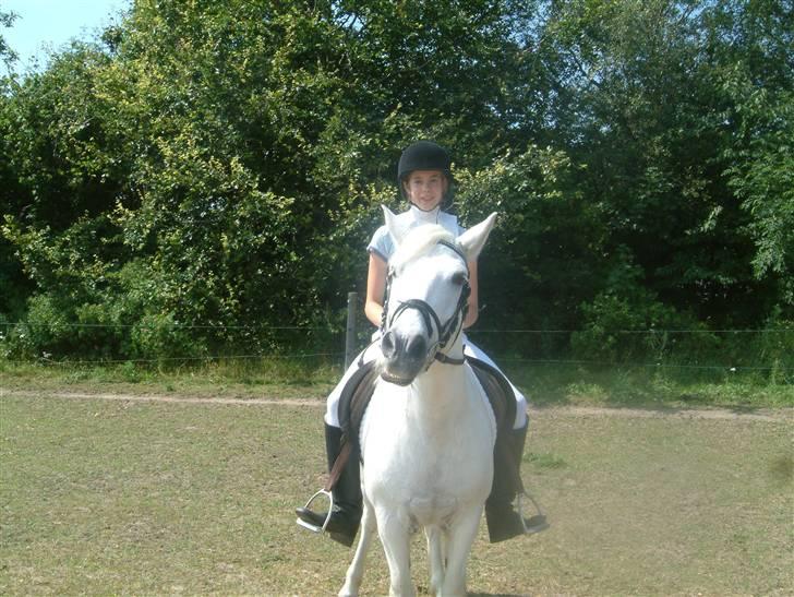 Anden særlig race Coco billede 4