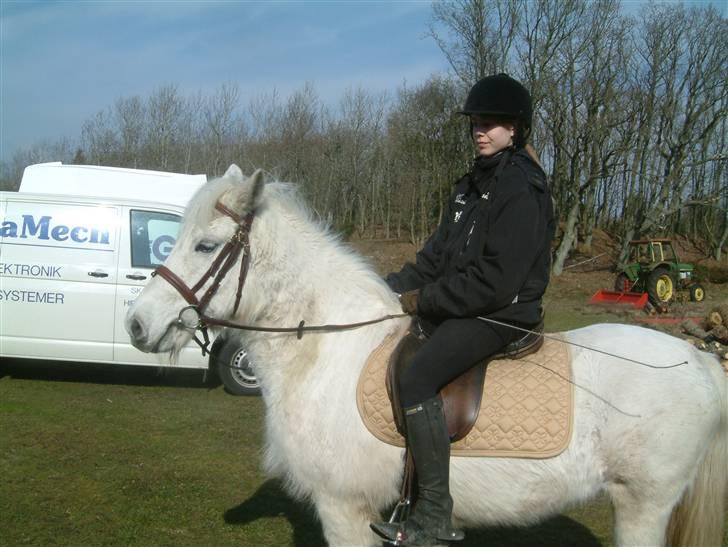 Anden særlig race Coco billede 9