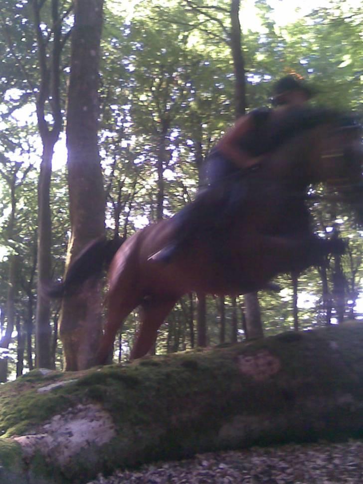 Anden særlig race Vanessa <3   - d;?. Undskyld kvaliteten s; <3 Fotograf: Heidi Christensen. billede 8