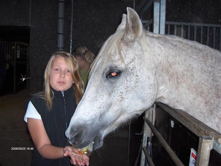 Anden særlig race /Araber Ghenoa (I himlen) - Ja du er sød jeg kan også rigtig godt lide dig:b billede 4